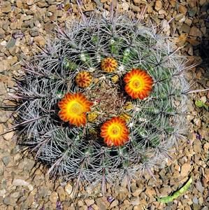 Meet your Posher, Jenny